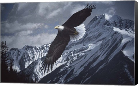 Framed Wings Over Winter Print
