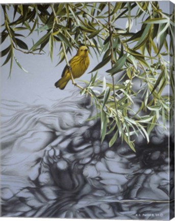 Framed Willow Print
