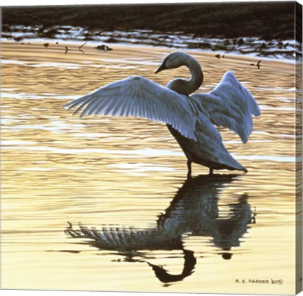 Framed Evening Reflections Print