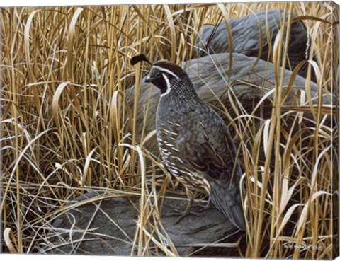 Framed Golden Grasses Print