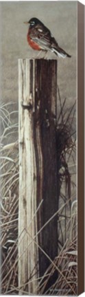 Framed Fence Post Print