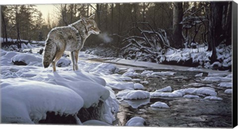 Framed Winter Creek - Coyote Print