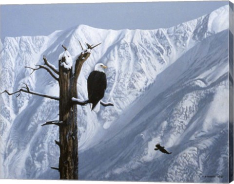 Framed Winter Perch Print