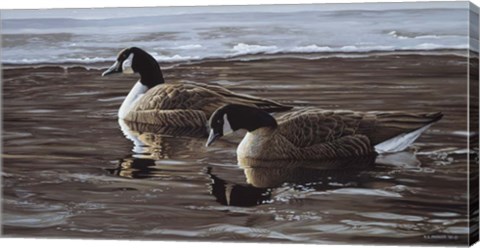 Framed Break In The Ice- Canada Geese Print