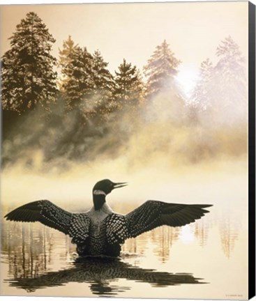 Framed Misty Dawn - Loon Print