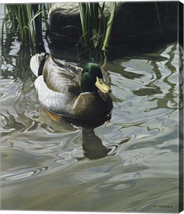 Framed Reflections Print