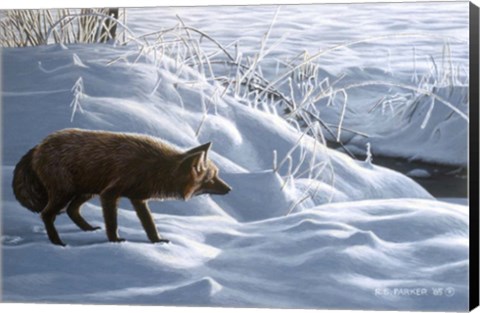 Framed Winter Stalk Print