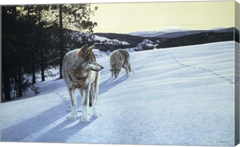 Framed At End Of Day- Wolves Print