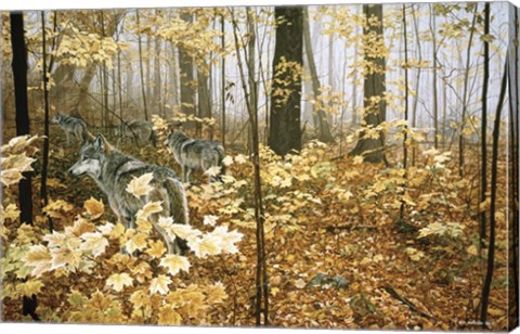 Framed Autumn Maples - Wolves Print