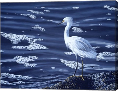 Framed Snowy Egret Print