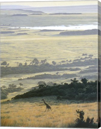 Framed Morning On The Mara Print