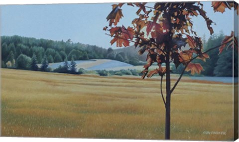 Framed Autumn Maple Print