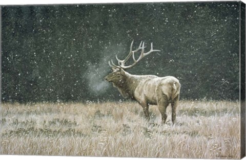 Framed Early Snowfall Print