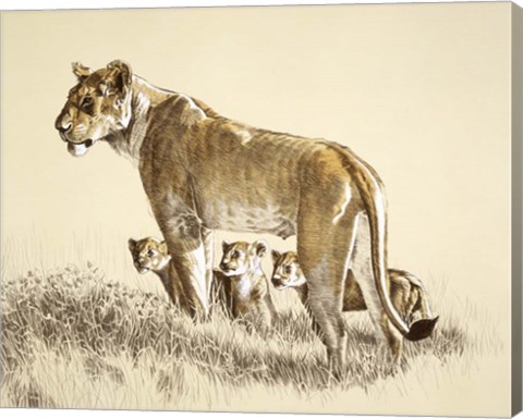 Framed Lioness And Cubs Print