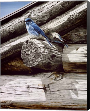 Framed Weathered Wood Print