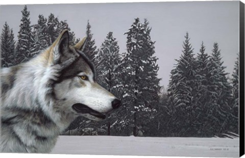 Framed Wolf Portrait Print