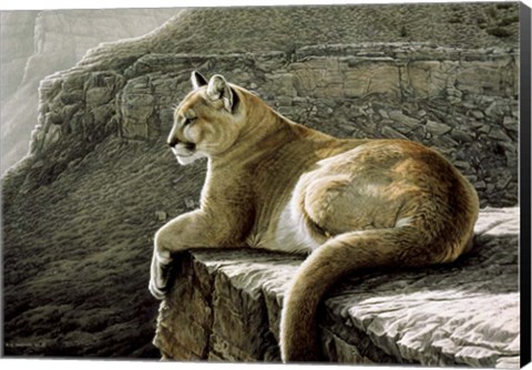 Framed Rimrock - Cougar Print