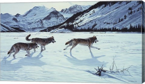 Framed On The Run - Wolf Pack Print