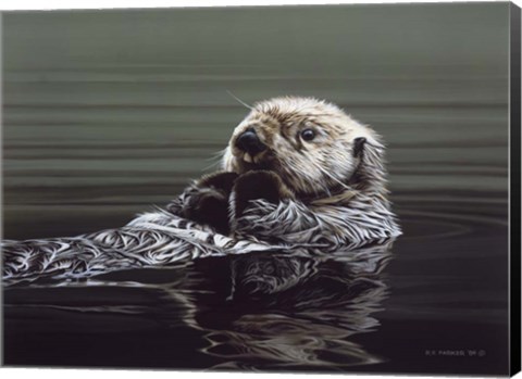 Framed Just Resting - Sea Otter Print