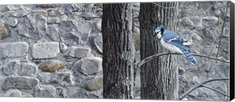 Framed Autumn Blue Jay Print