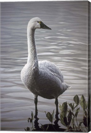 Framed Waters Edge Print