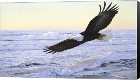 Framed Ocean Dawn- Eagle Print