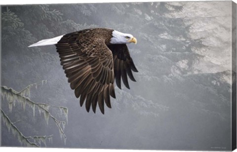 Framed Mystic Forest Print