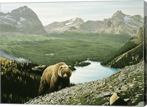 Framed Lake O&#39;Hara Print