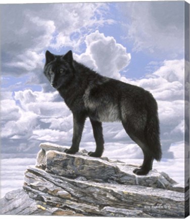 Framed Black Wolf On Skyline Print