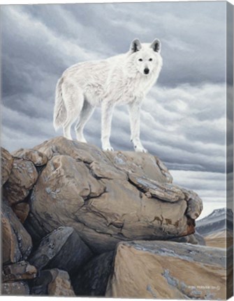 Framed White Wolf Print