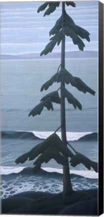 Framed Lone Fir Print