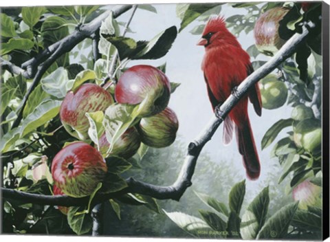 Framed Cardinal And Apples Print