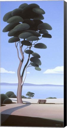 Framed Lone Arbutus Print