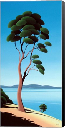 Framed Island Arbutus Print