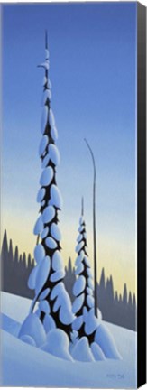 Framed Winter Spruce Print