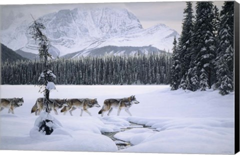 Framed Emerald Lake Print
