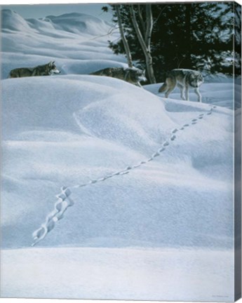 Framed Winter Tracking Print