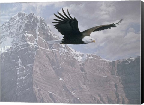 Framed Mountain Flight Print
