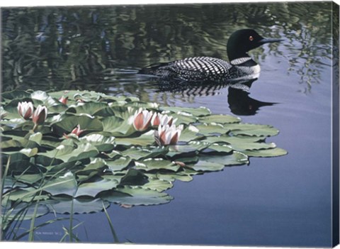 Framed Loon And Lilies Print