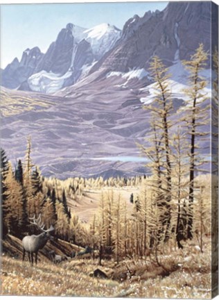 Framed Rockwall Print