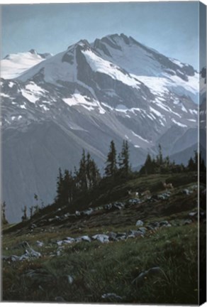 Framed Coast Range Print