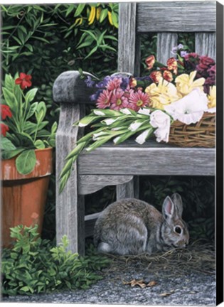 Framed Garden Visitor Print