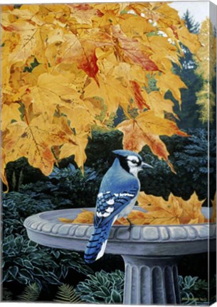 Framed Autumn Birdbath Print