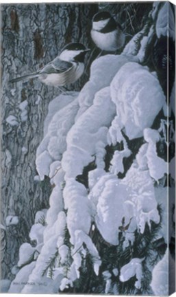 Framed Chickadees In Snow Print