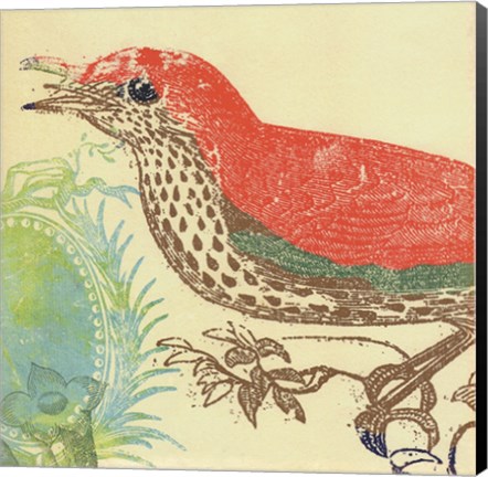 Framed Red Bird Print