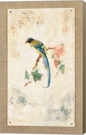 Framed Blue Magpie Print