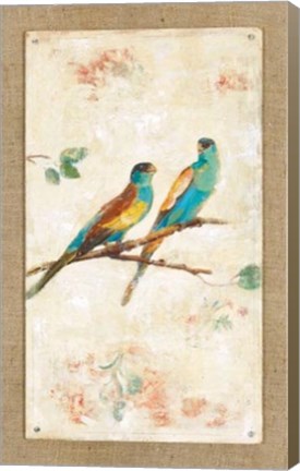Framed Hooded Parrot Print