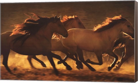 Framed Into The Light Print