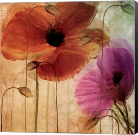 Framed Penchant For Poppies Print