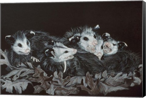 Framed Rodents Print